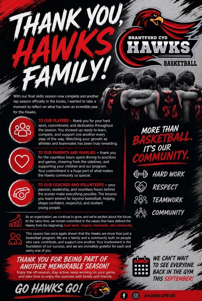 Hawks Poster